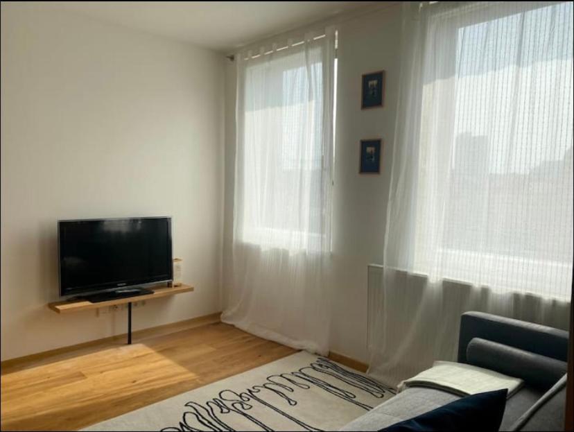 Cute With Gym, Rooftop Terraces And Laundry Apartmán Prague